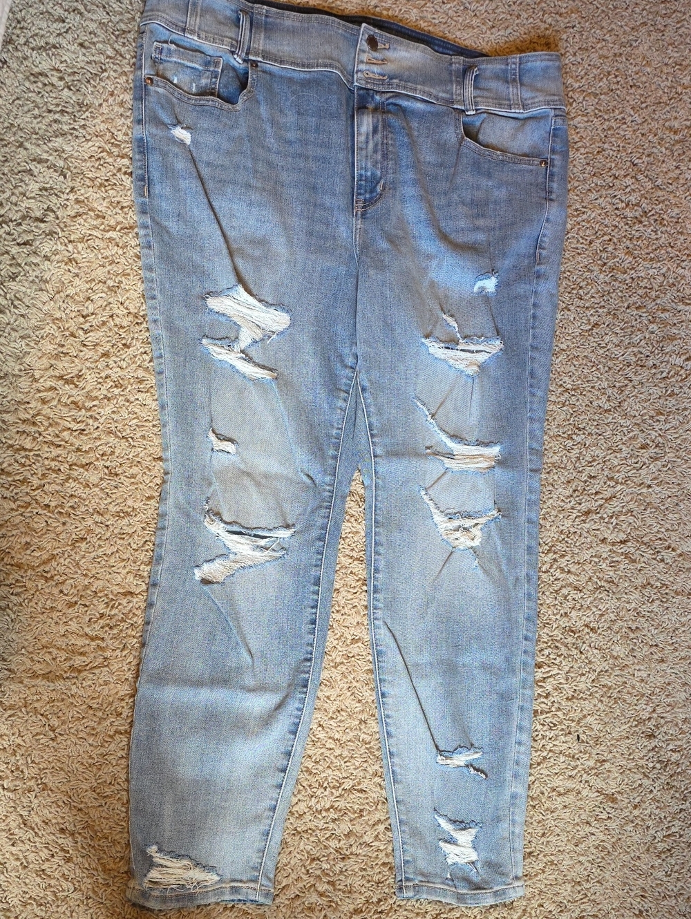 Lane Bryant Light Blue Distressed Skinny Jeans